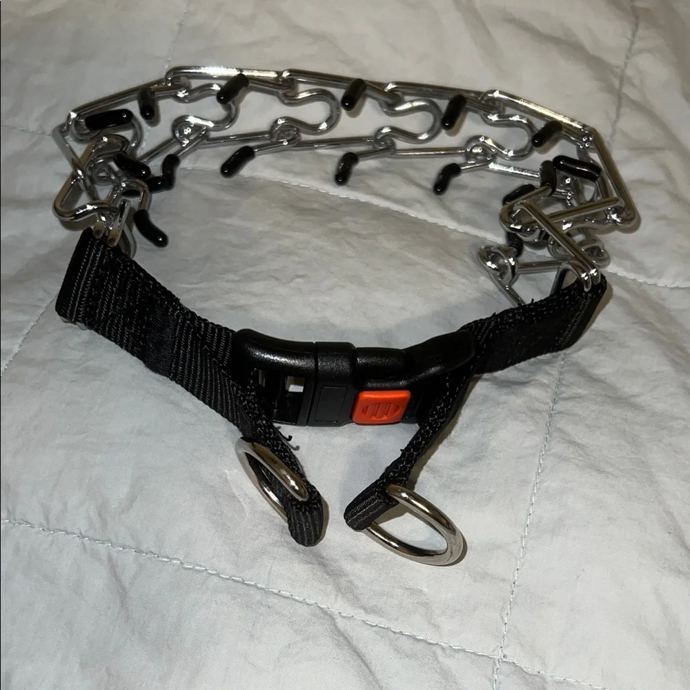 NEW! Metal Prong Dog Collar